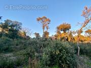 Terrain à UZES