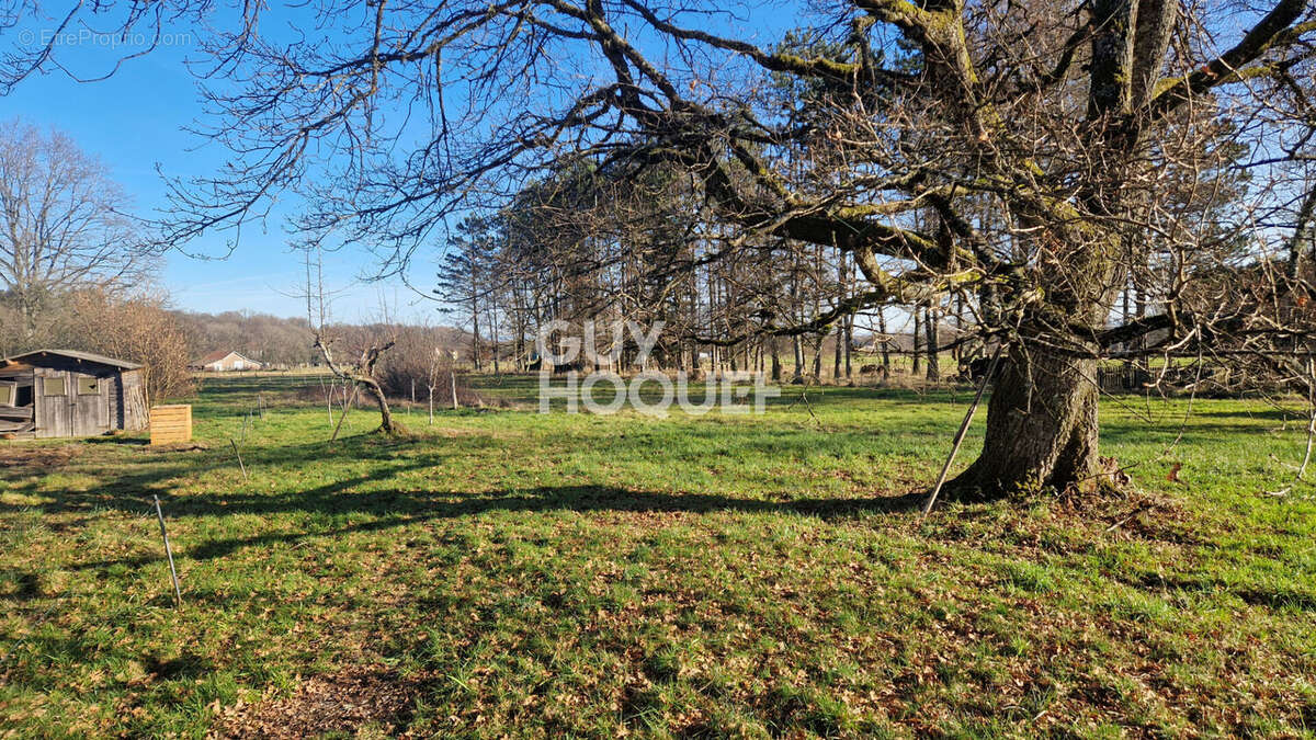 Appartement à ROUGEMONT-LE-CHATEAU