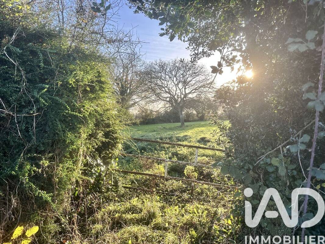 Photo 1 - Terrain à PICAUVILLE