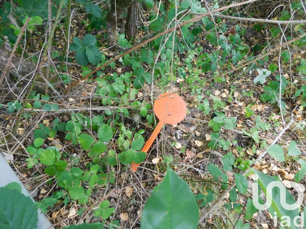 Photo 7 - Terrain à SALBRIS