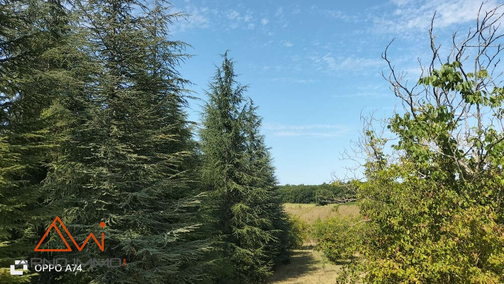 Maison à CAHUZAC-SUR-VERE