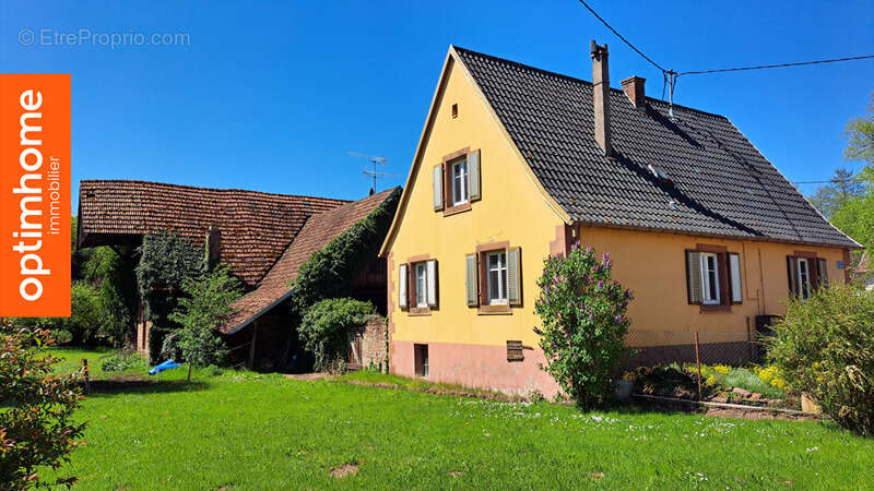 Maison à WIMMENAU