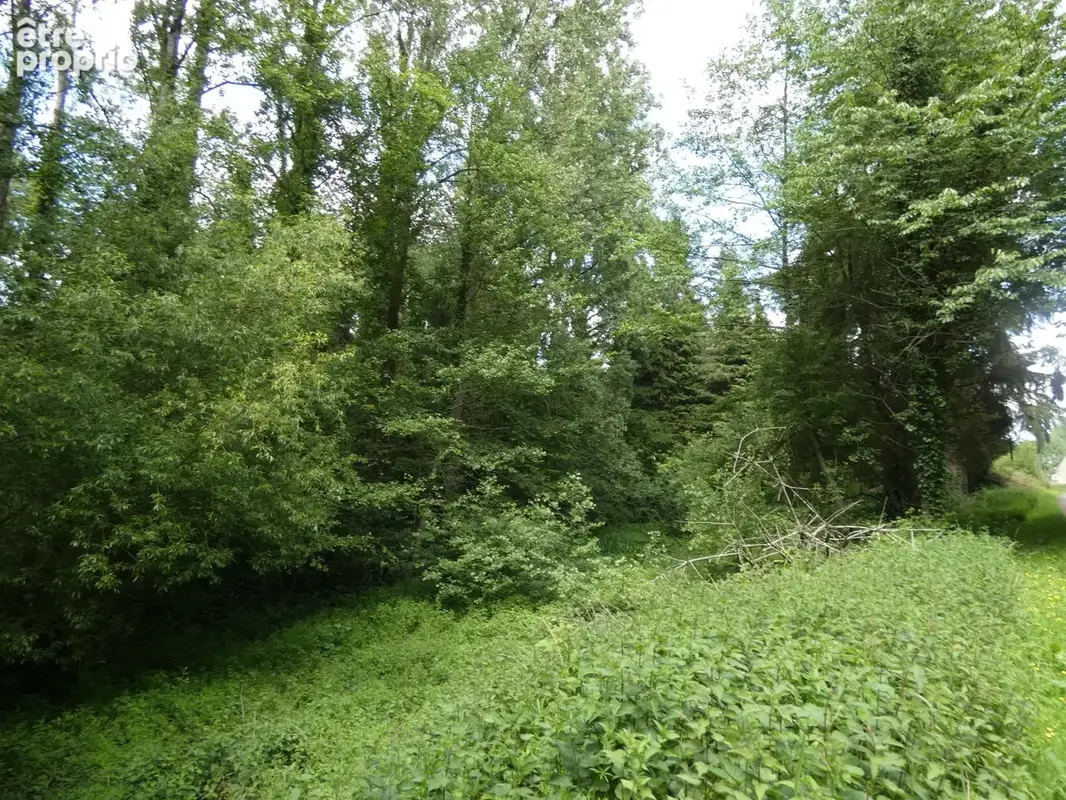 proche de ARGENTAN (61) propriété de 9078 m² de terrain - photo 11