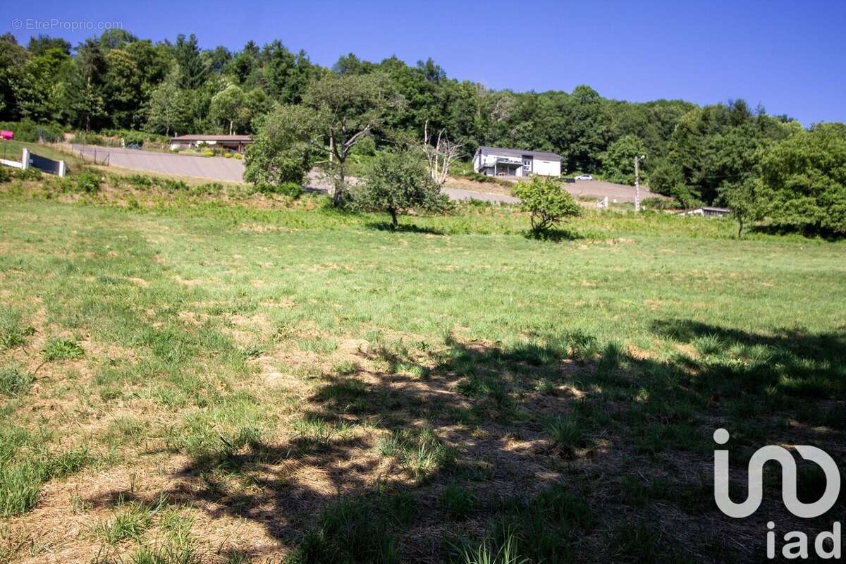 Photo 3 - Terrain à SAINT-MARTIN-DES-OLMES