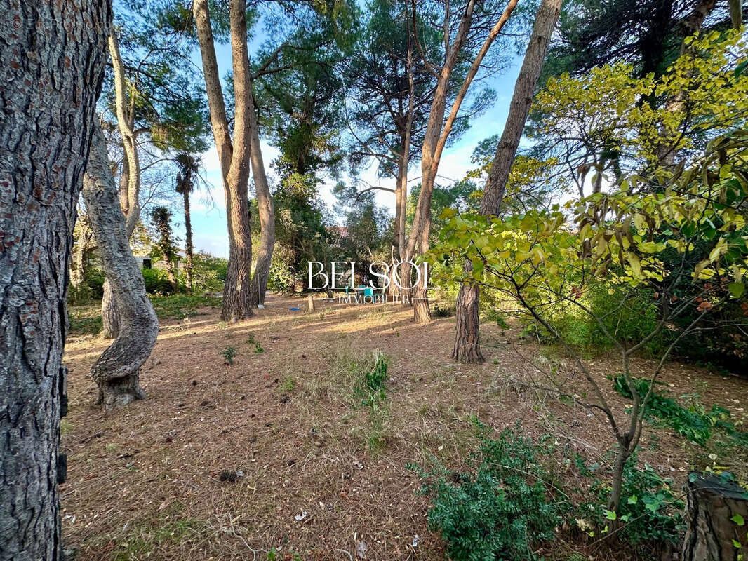 Maison à CABESTANY