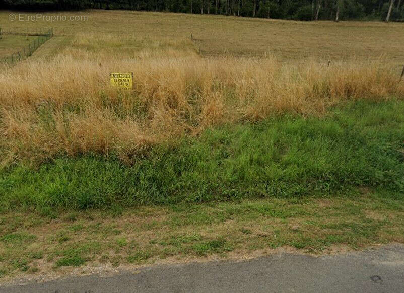 Terrain à SAPOGNE-ET-FEUCHERES