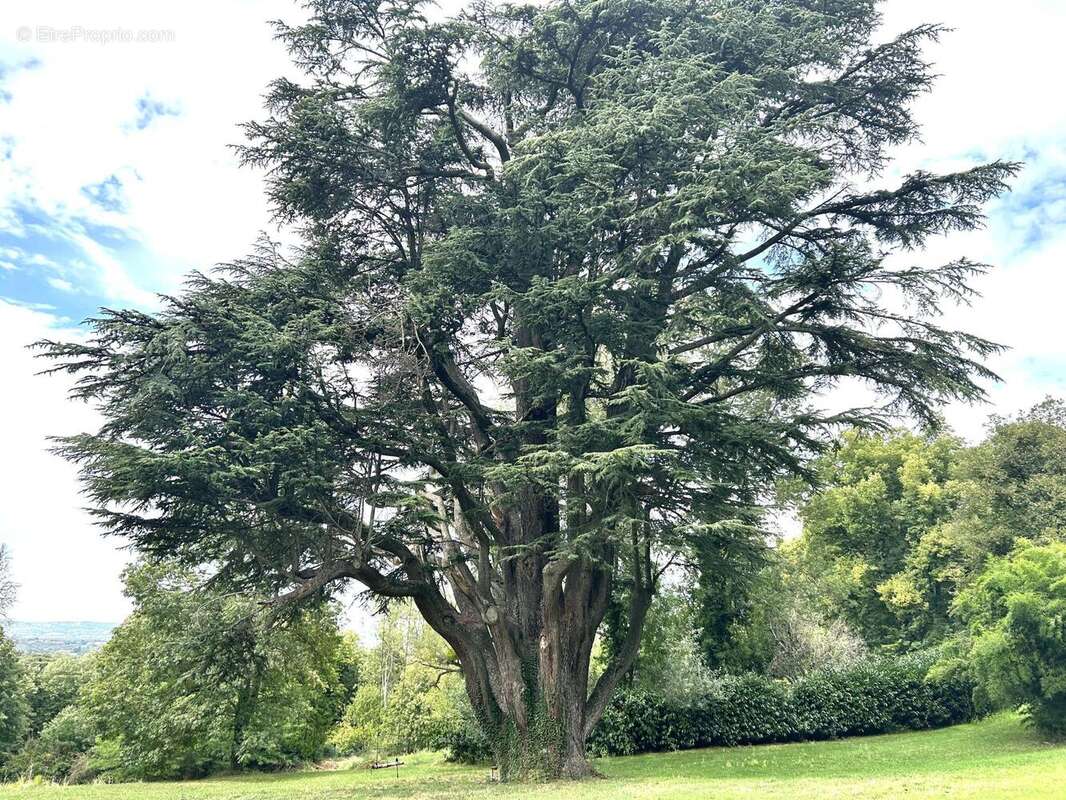 Photo 3 - Maison à MORAS-EN-VALLOIRE
