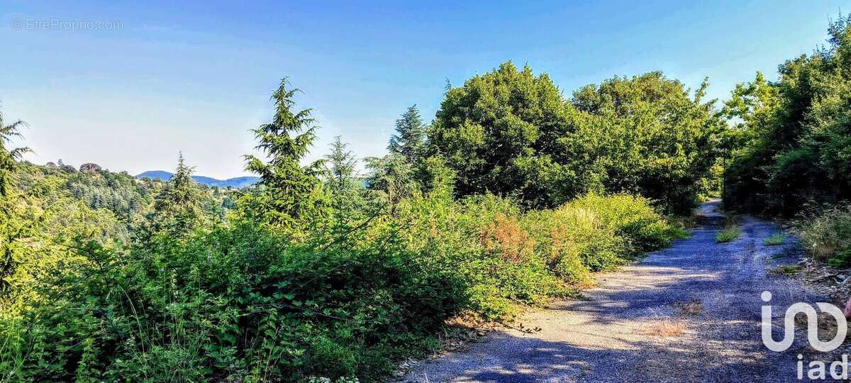 Photo 4 - Terrain à AULAS