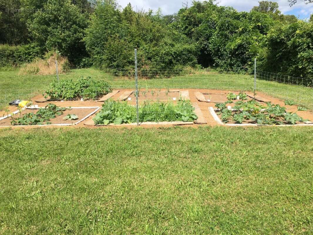 Maison à L'ISLE-JOURDAIN
