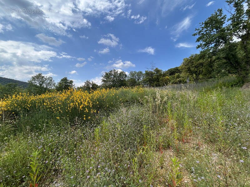 Terrain à SAINT-MARTIN-D&#039;ARDECHE