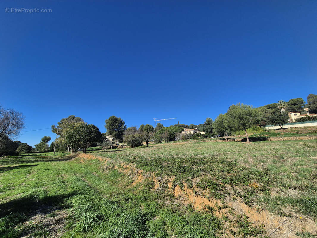 Terrain à LE PRADET