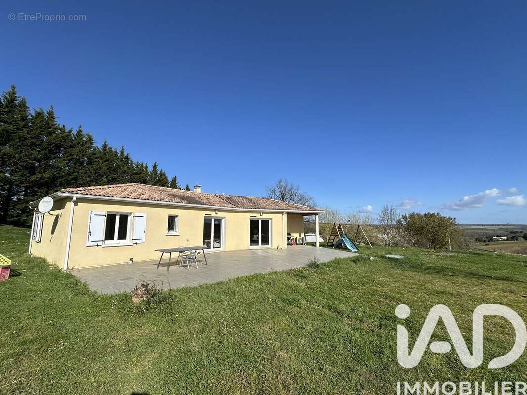 Photo 5