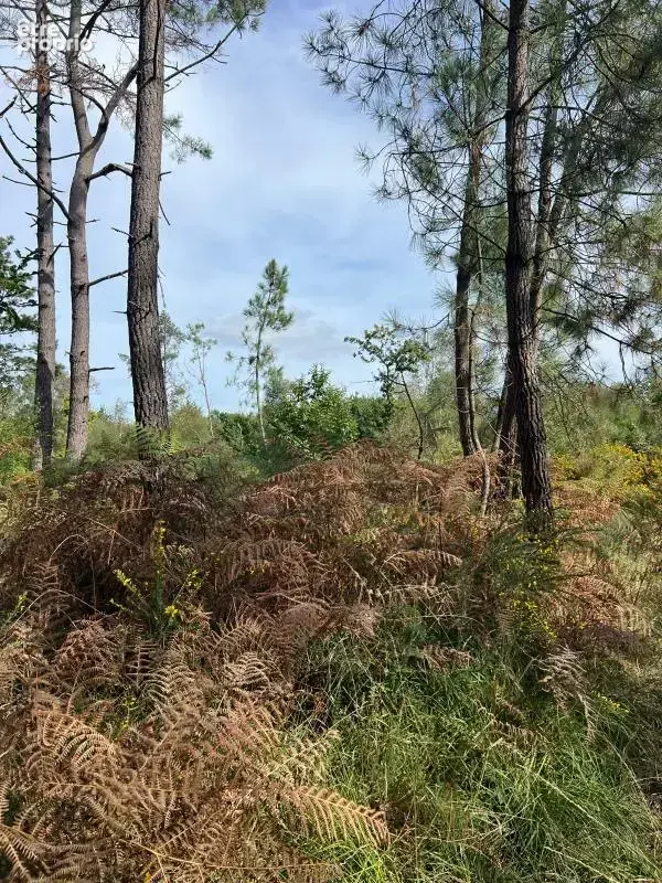 À vendre – argol – finistère – presqu’île de crozon-exceptionnel terrain de loisirs de 40 000 m² - photo 55