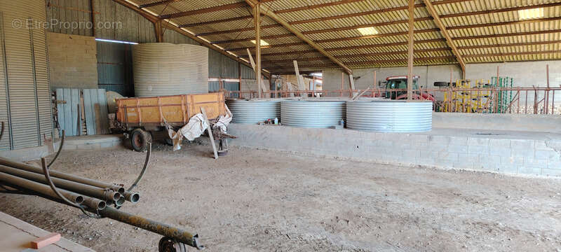 Ferme à vendre 7 pièces  Villeneuve ASSAIS LES JUMEAUX (79) - photo 15