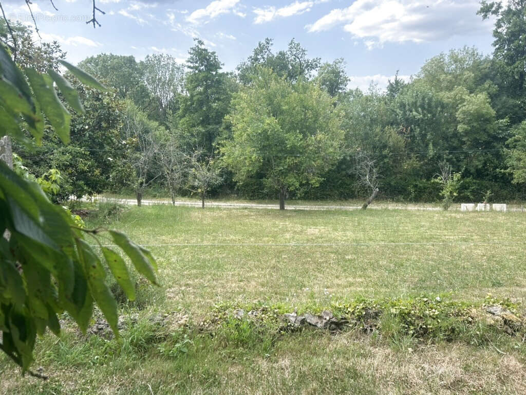 Terrain à BARBECHAT