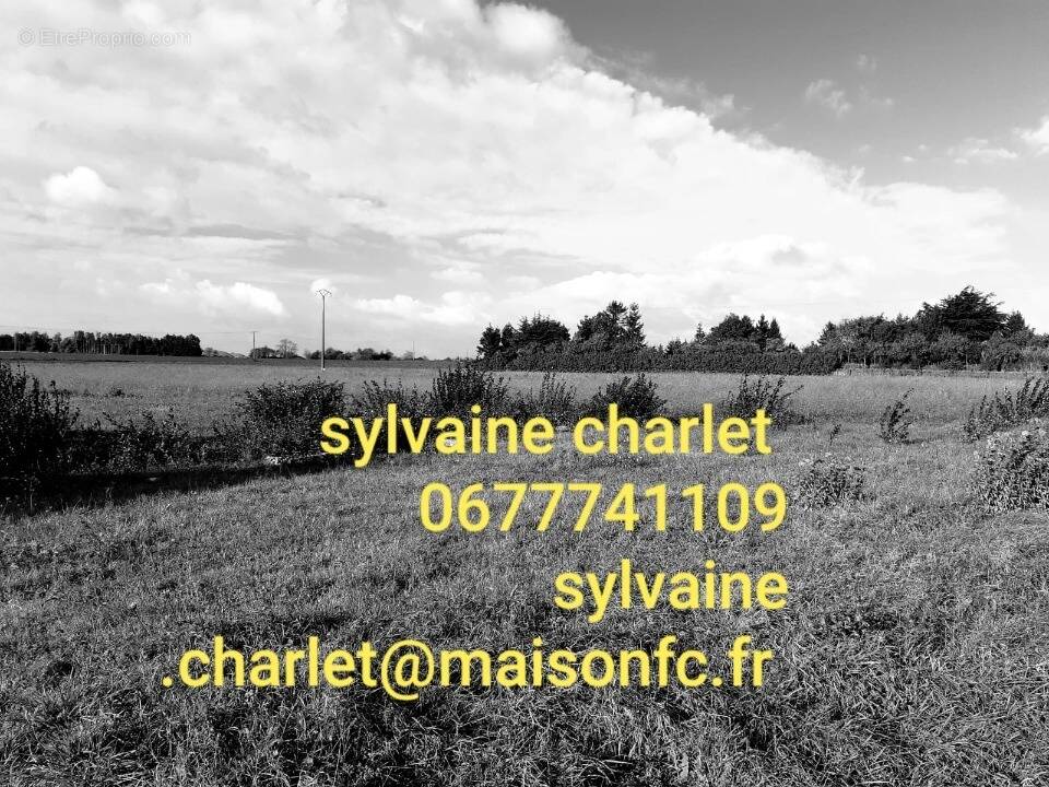 Terrain à SAINS-EN-GOHELLE