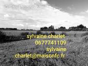 Terrain à SAINS-EN-GOHELLE