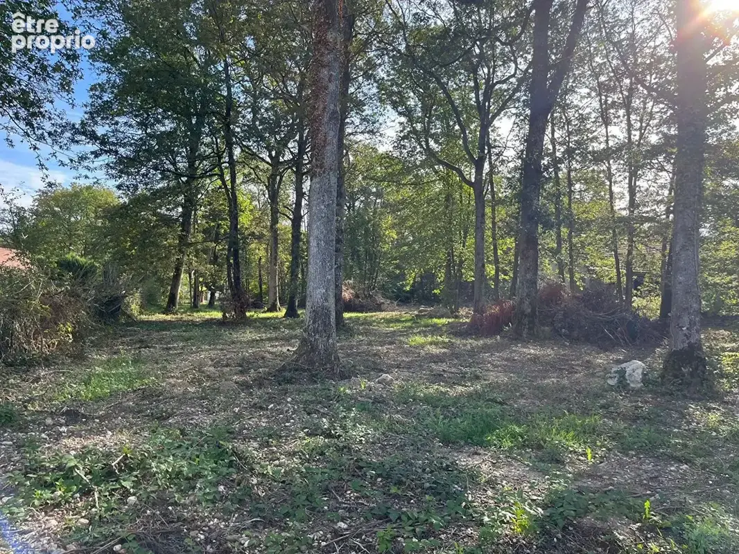 Terrain À Vendre ? 2 300 M² ? Vue Étang ? Cadre Calme - photo 4