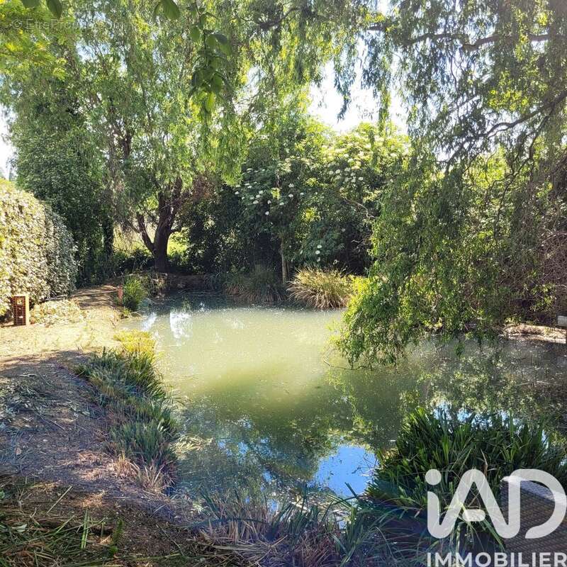 Photo 3 - Maison à MONBAZILLAC