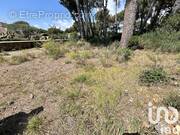 Photo 1 - Terrain à SANARY-SUR-MER