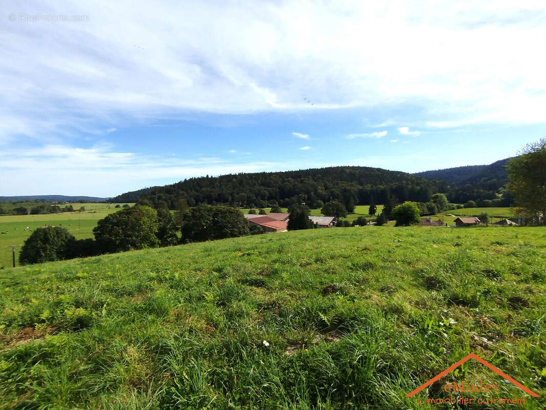 Terrain à LE VAL-D&#039;AJOL