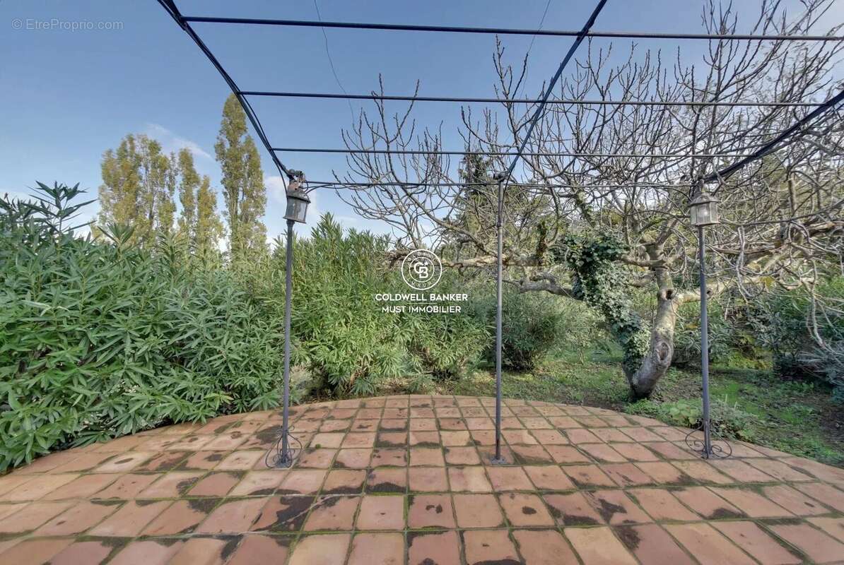 MAS de 295m2 Céret  vue Canigou sur près de 4 Ha - photo 24
