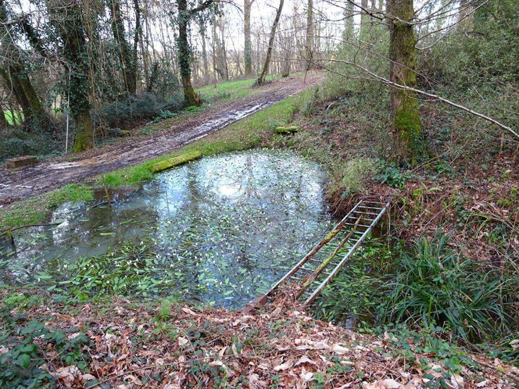 Landes 40250 Saint-Aubin, maison 178 m² - photo 16