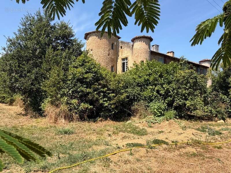MARCIAC(32): ancienne SEIGNEURIE avec BEAU CHATEAU XIV sur 3,5ha, cachée, au bout du chemin, sans voisin, en campagne, 500m2 hab - photo 11