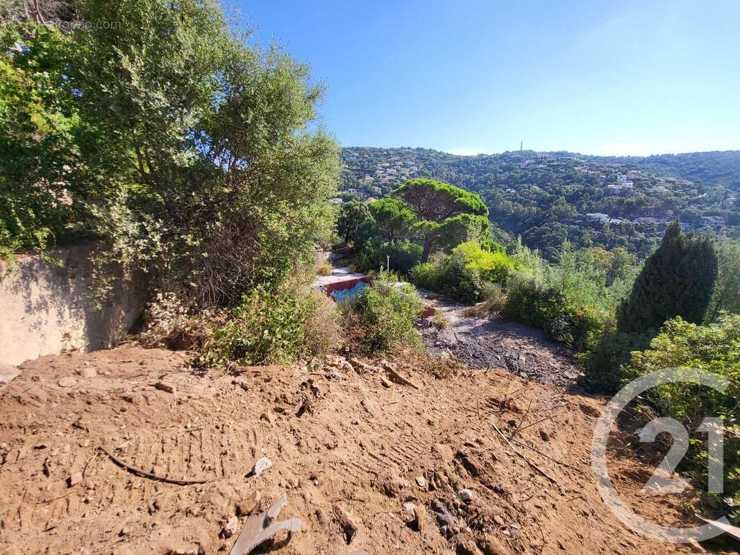 Terrain à ROQUEBRUNE-SUR-ARGENS