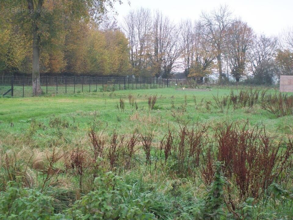 Terrain à LACHAPELLE-AUX-POTS