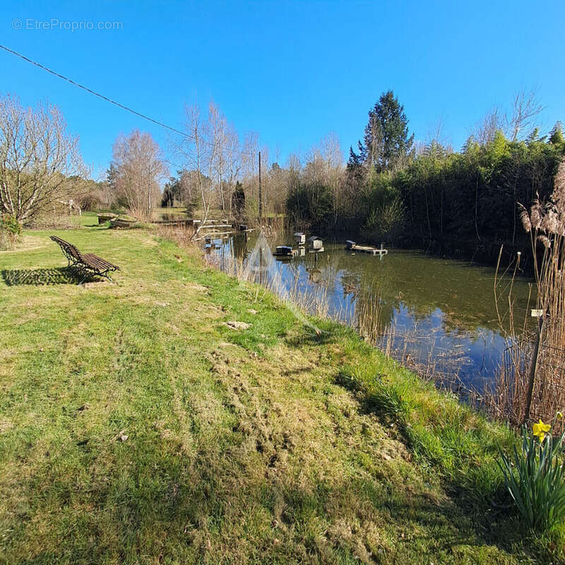 Propriété / 7 ha / plan d'eau/ dépendances - photo 14