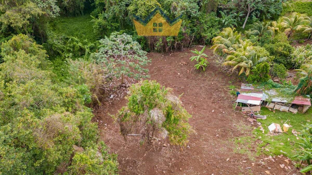 Terrain à SAINT-ESPRIT