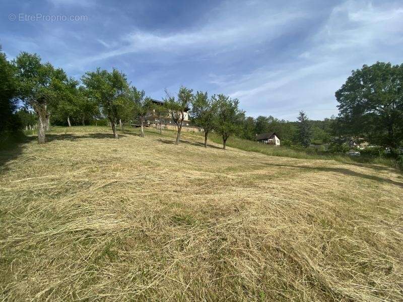 Terrain à BERG-SUR-MOSELLE