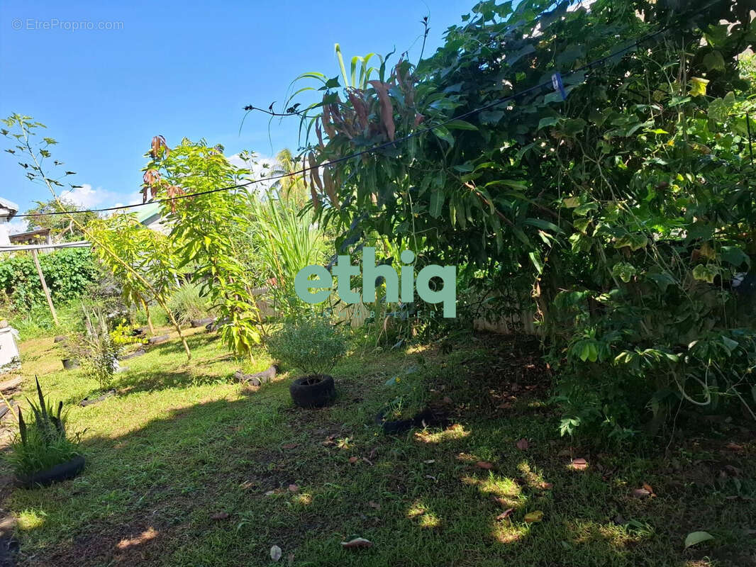 Maison à CAPESTERRE-BELLE-EAU