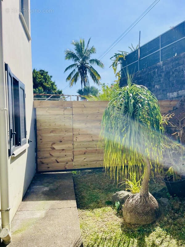 Maison à PETITE-ILE