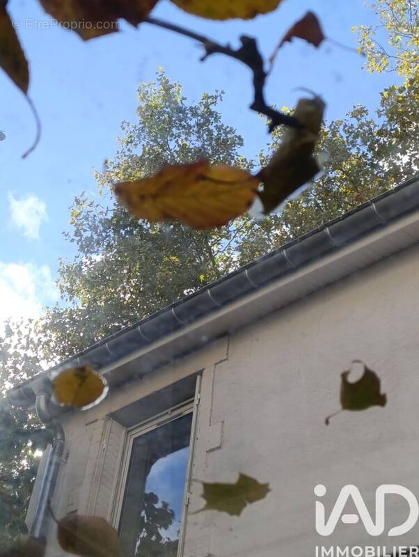 Photo 1 - Maison à NANCY