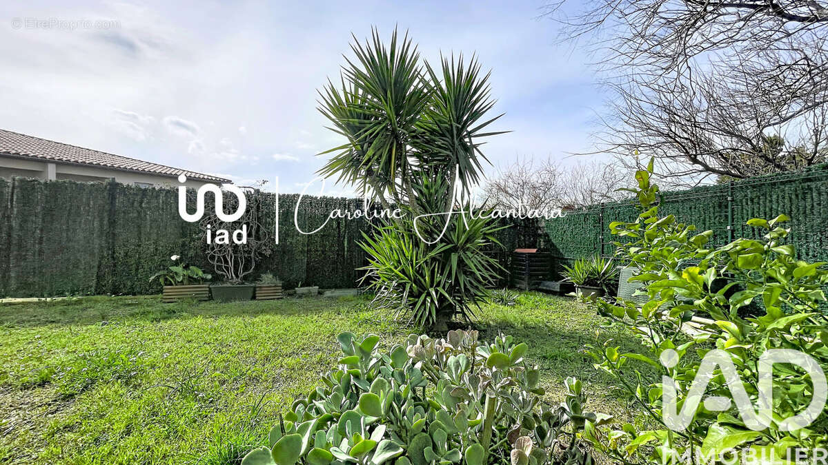 Photo 3 - Appartement à PERPIGNAN