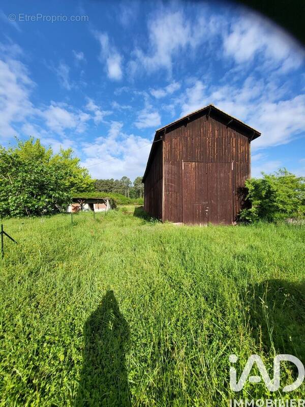 Photo 1 - Maison à BAZAS