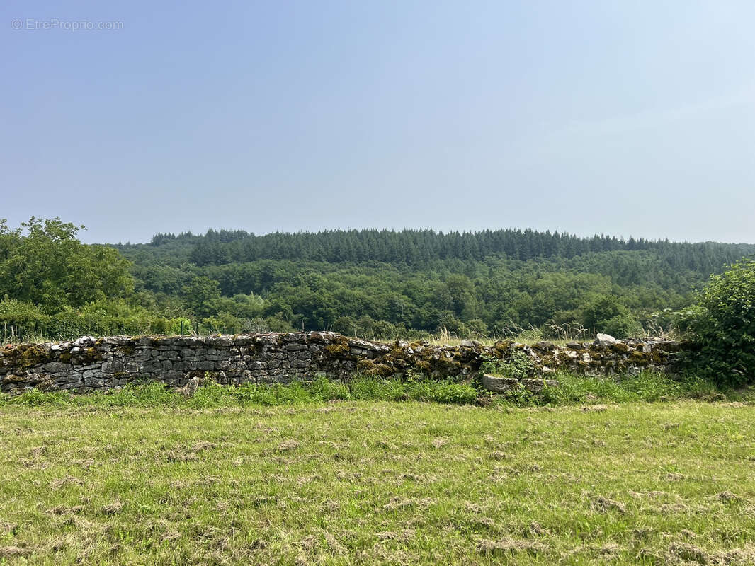 Maison à SAINT-MARTIN-DE-SALENCEY