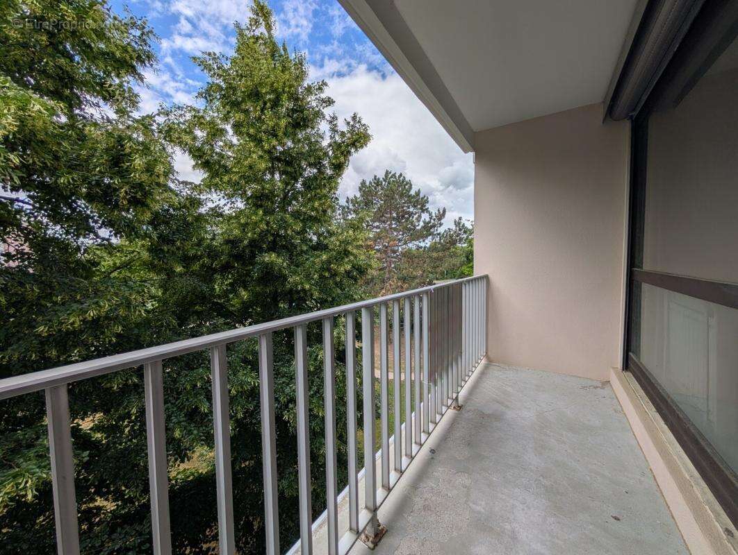 Appartement 2 pièces - 62m² - Balcons/Cave - Illkirch-Graff - photo 6