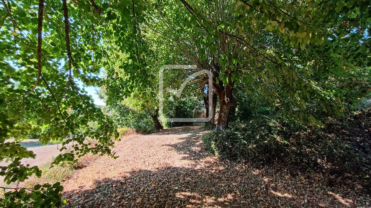 Demeure de caractère avec piscine et dépendances - photo 7