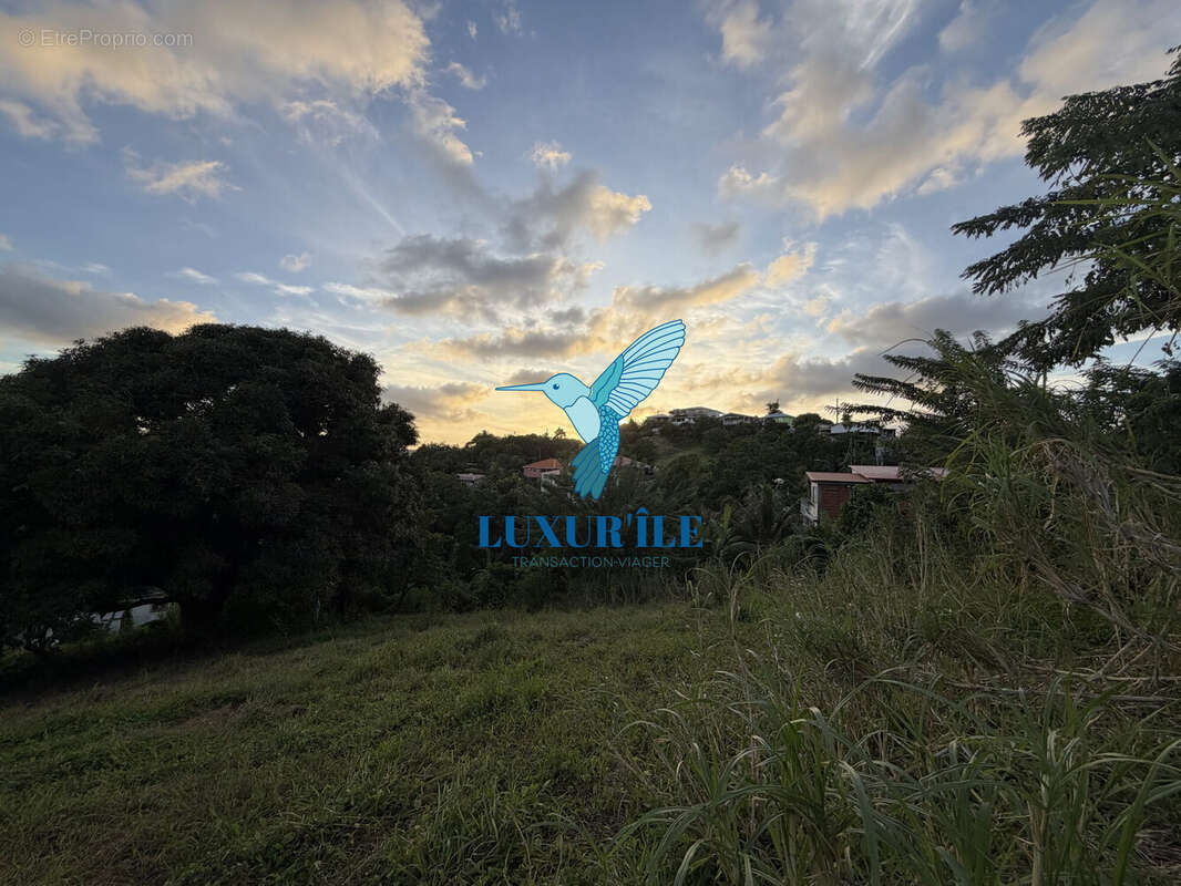 Terrain à LE FRANCOIS