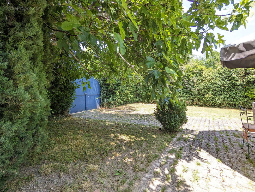 Maison à MONTJOI