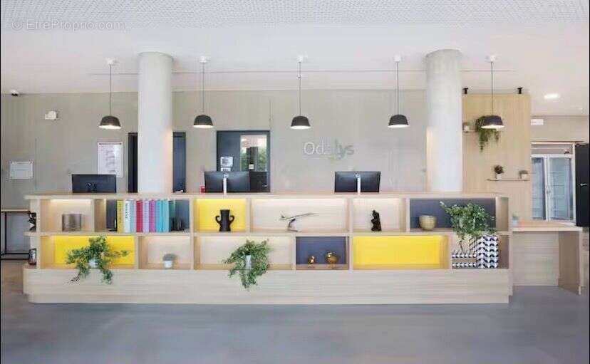 Appartement à BLAGNAC