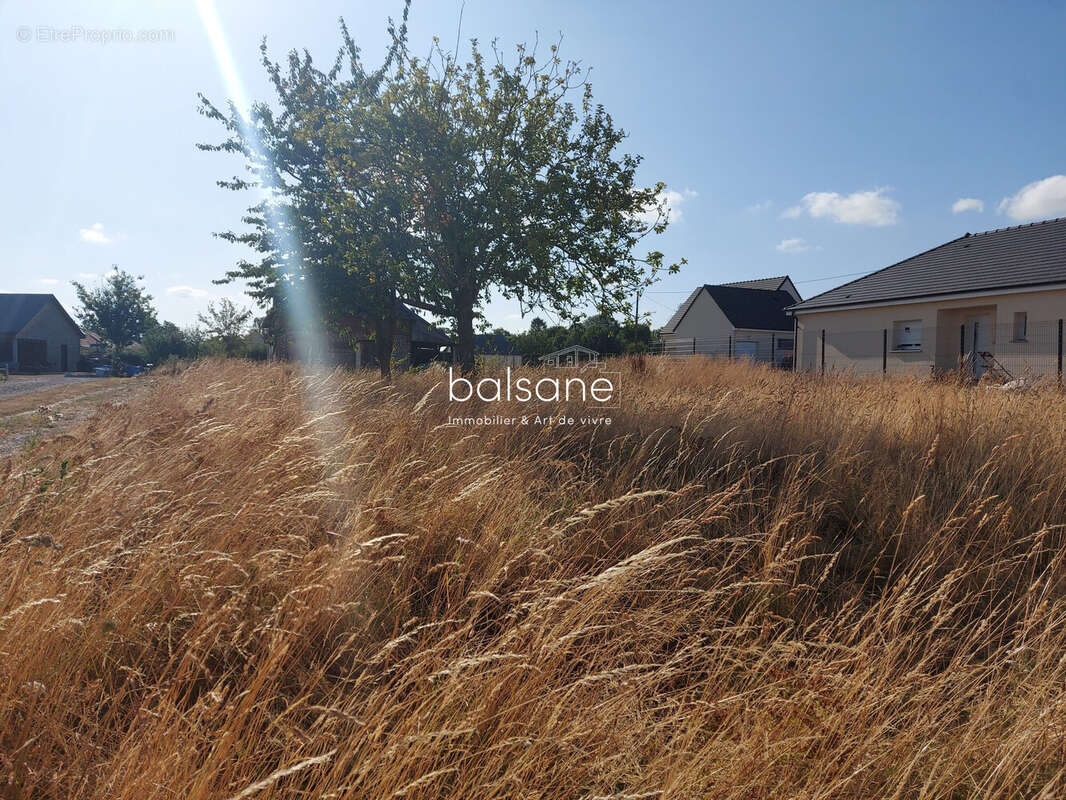 Terrain 615 m² à Boissey-Le-Chatel  - photo 3