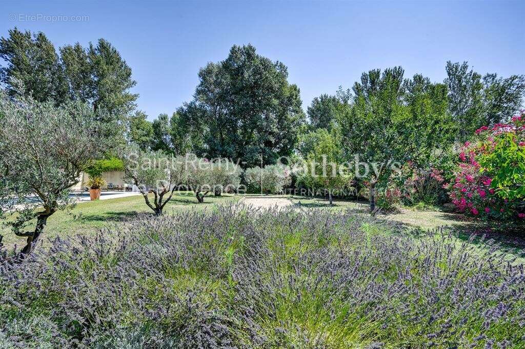 Belle propriété à acquérir à Saint Rémy de Provence, proche du centre - photo 9