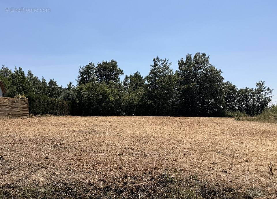 Terrain 929 m² à Vaudreuille  - photo 1