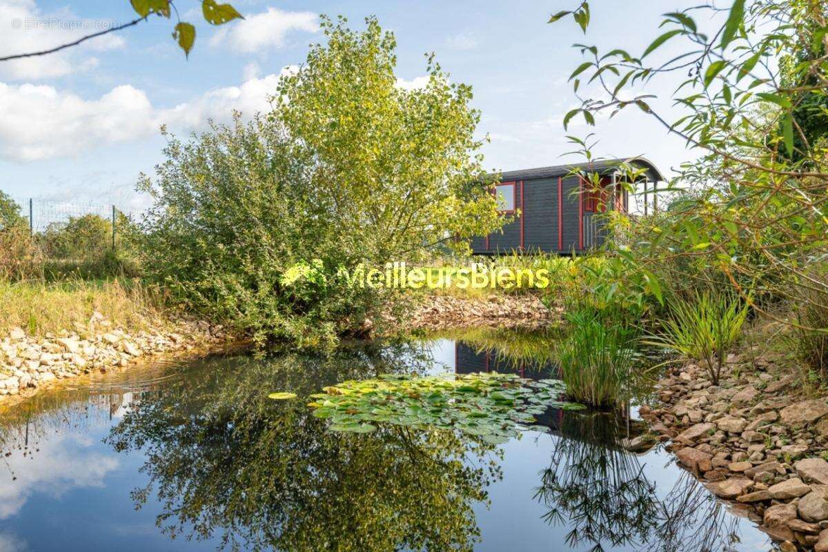 Maison bressane 327m² à Sulignat, terrain 4863m² - photo 24