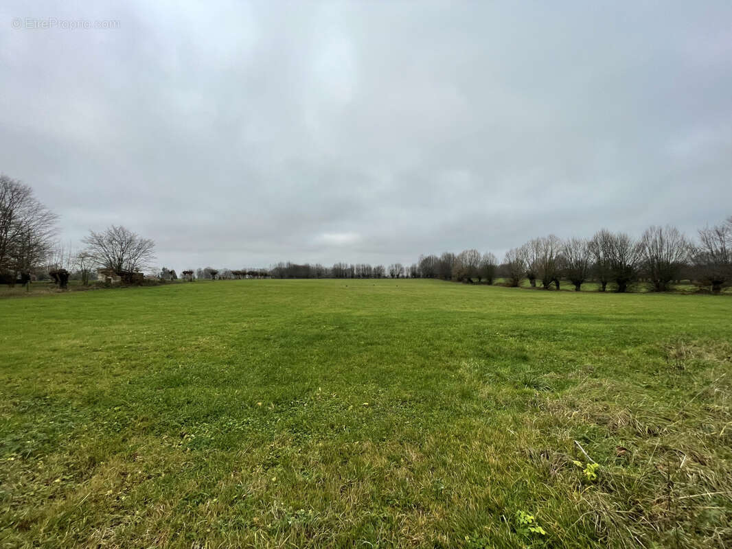 Terrain à ESQUEHERIES