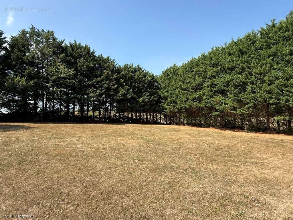 Propriété De Caractère Sur 2 Hectares Avec Deux Gîtes, Piscine Et Fort Potentiel De Développement - photo 5